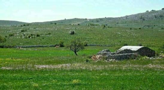 Yria - 12
