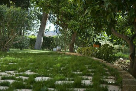 B&B Villaseta - 15