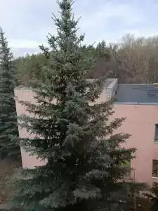 Sanatoriy-Profilaktory Olkhovka - 25
