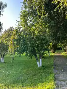 Staroladozhskaya Dacha - 85