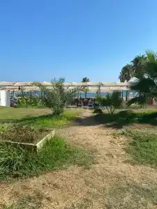 Orfeus Queen Spa - 46