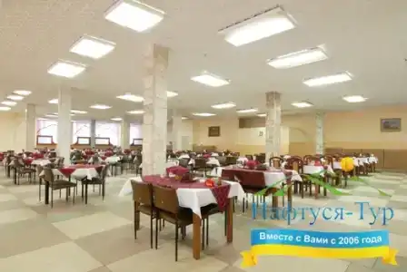 Spa Resort Dnister - 15