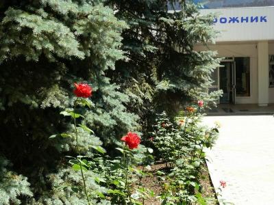 Dorozhnik Pansionat - 17