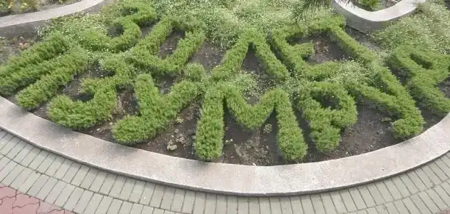 Pansionat izumrud Health resort - 43