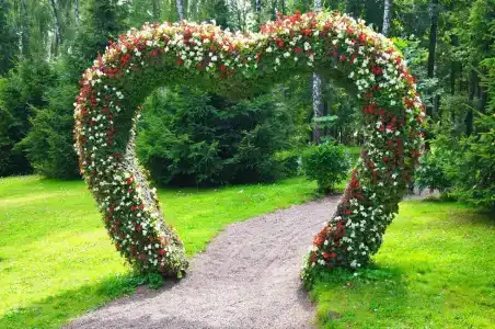 Mechta Park-Hotel - 7