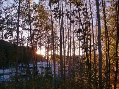 Форест Парк - 11