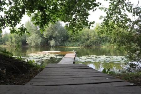 Guest house Druzhba - 0