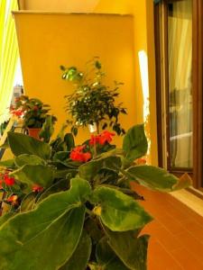 B&B la Rada - 48