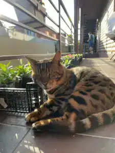 Morskaya 250 Guest House - 18