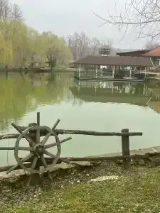 Zagorodny Klub Kura Tse Tse - 34