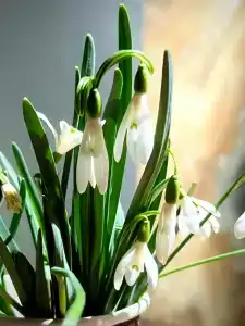 Verhnie Golubyye Ozyora - 47