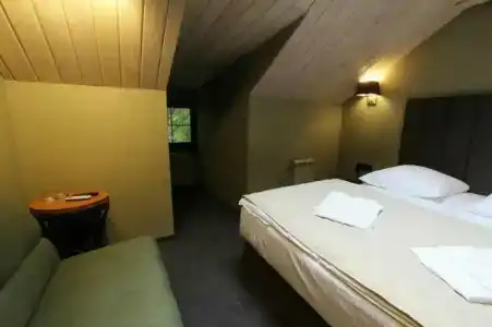 Wellion Baumansky - 25