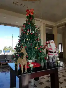 Sharm Club Beach Resort - 37