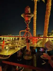 Beach Albatros Resort - 40