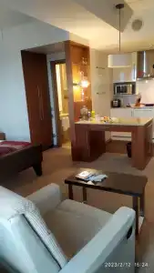 Staybridge Suites St. Petersburg, an IHG - 77