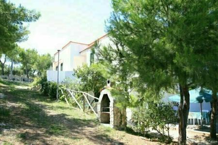 Falcone - 33