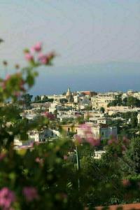 B&B Il Grappolo - 43
