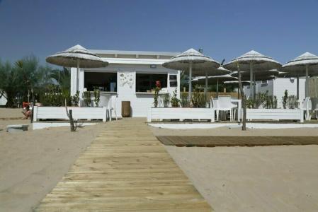 Garden Ripa - 6