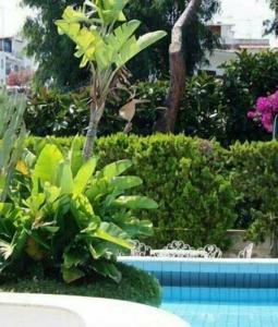 Royal Terme - 24