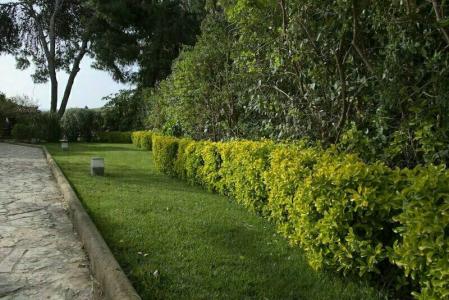 B&B Villaseta - 5