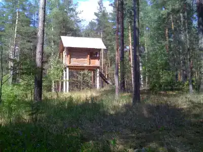 Ohotniche hozyaystvo Sechuga - 32
