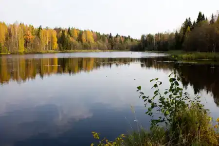 Ohotniche hozyaystvo Sechuga - 43