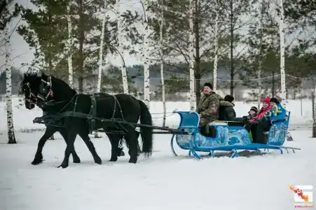 Alexandrovskaya Sloboda - 5