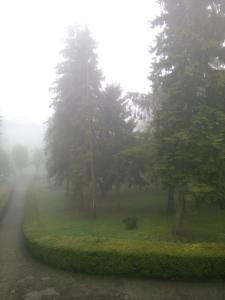 Sanatorium im. S.M. Kirova - 81