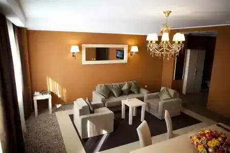 Avrora Business - 16