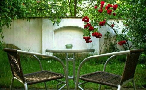 Albergo Giardino - 33