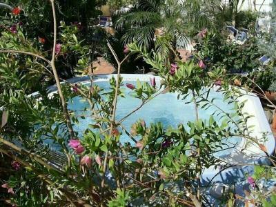 Royal Terme - 31