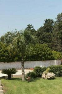 Tenuta Turchi - 42