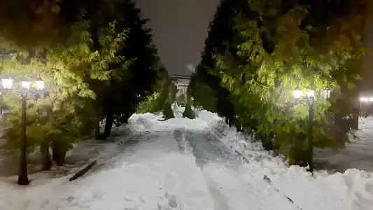 Volkoff-Sky Resort - 11