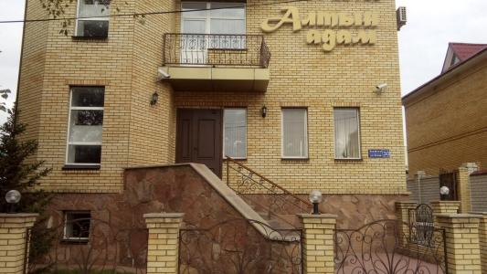 Altyn Adam - 6