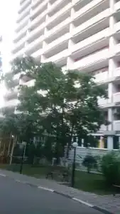 Москвич - 39