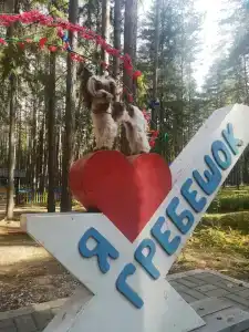 Baza otdykha Grebeshok - 1