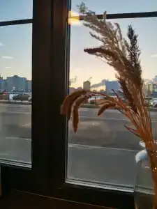 БАГРАТИОН - 25