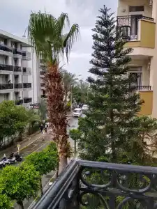 Kleopatra Royal Palm - 36