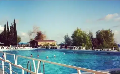 Dolphin Resort by Stellars, - 36