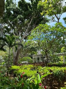 The St. Regis Le Morne Resort, Mauritius - 25