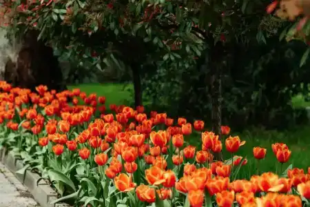 Uzhnoe Vzmorie Health Resort - 3