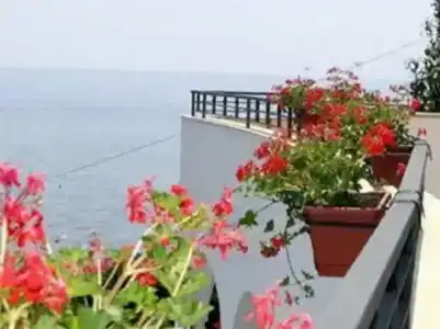 Punta Campanella Resort & SPA - 8