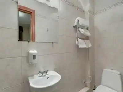 Большой 19 - 81