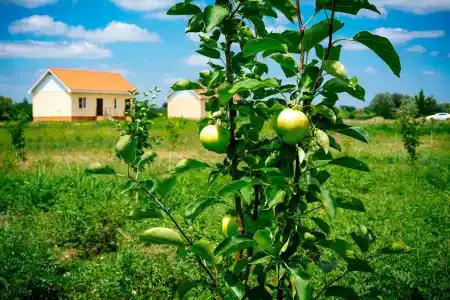 Baza Otdyha Nasha Fazienda - 30