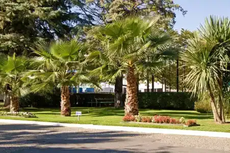 Biryuza Sanatorium - 37