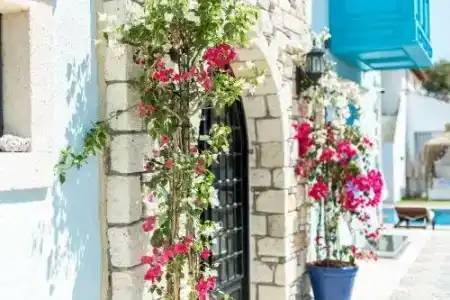 Bellezza Alacati - 5