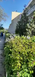 турбаза Прибой - 54