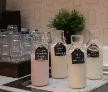 Cosmos, a member of Radisson Individuals - 17