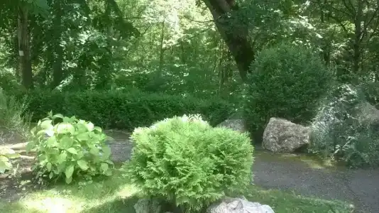 Lago-Naki Resort - 14