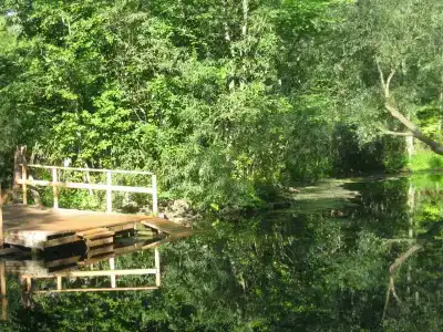 Health Resort Krutushka - 40